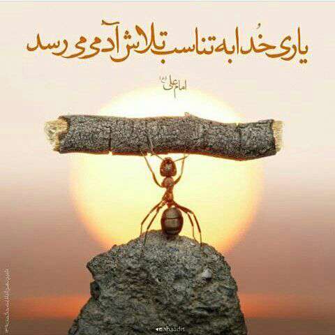 حدیثی از امام علی در مورد یاری خدا